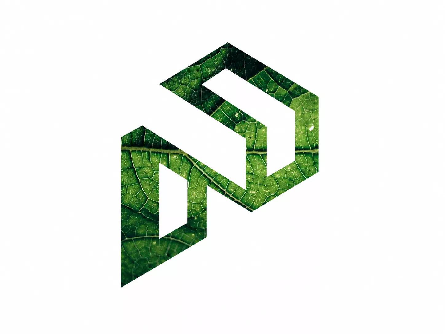 Pardos Real Estate development